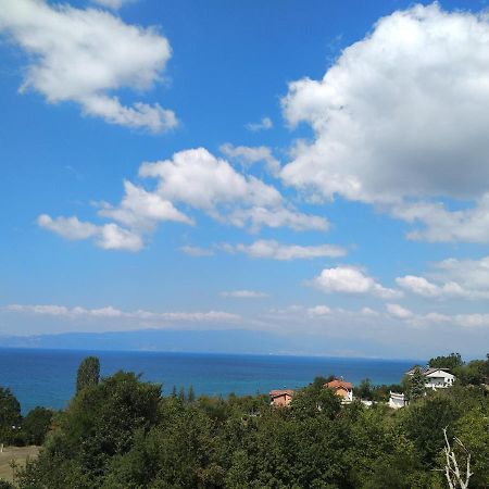 The Brothers Villa Hotel Охрид Экстерьер фото