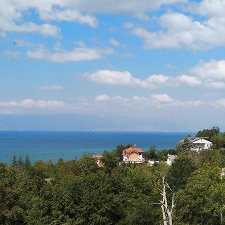 The Brothers Villa Hotel Охрид Экстерьер фото