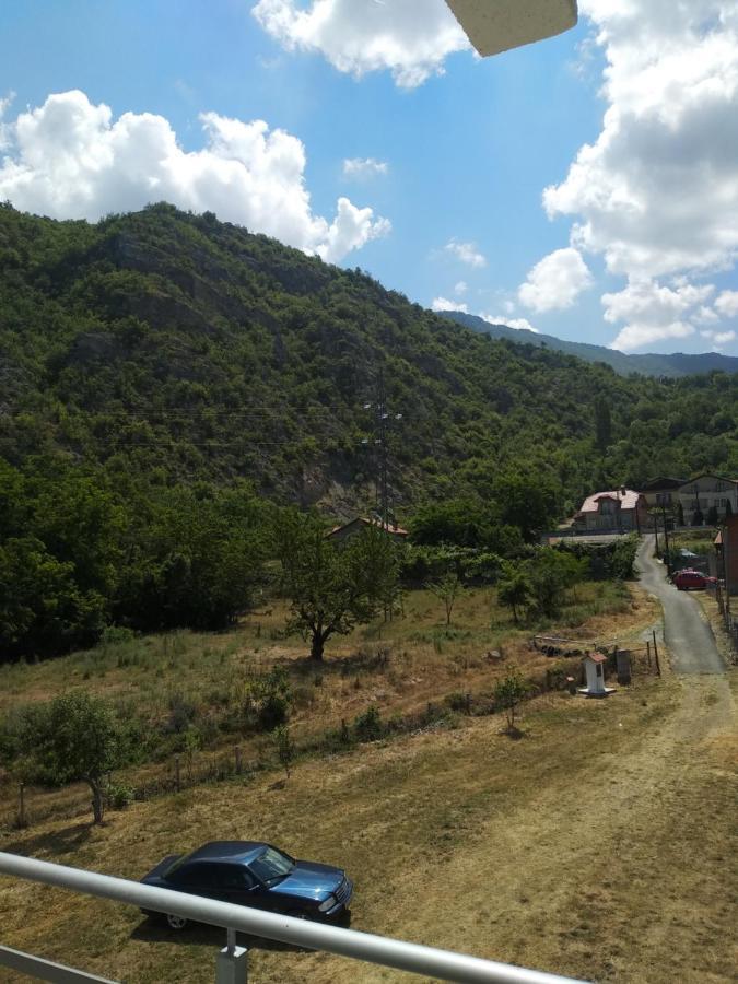 The Brothers Villa Hotel Охрид Экстерьер фото