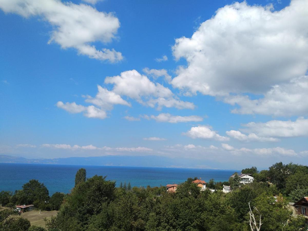 The Brothers Villa Hotel Охрид Экстерьер фото